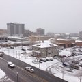 A view of a snowy Fayetteville from the 5th floor of the Washington County Courthouse.