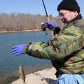 Randall Painter of Rogers lands his first rainbow trout five minutes into his fishing trip Friday at...