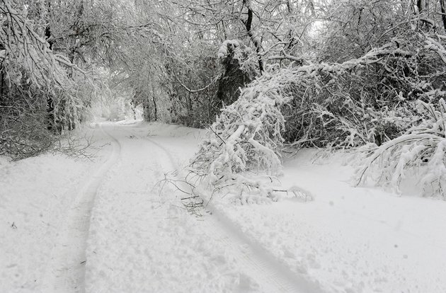 tree-limbs-lay-broken-by-heavy-wet-snow-on-wehmeyer-road-on-tuesday-feb-26-2013-after-another-winter-storm-dumped-about-eight-inches-of-snow-in-central-boone-county-mo-the-second-major-snowstorm-in-a-week-battered-the-nations-midsection-tuesday-dropping-a-half-foot-or-more-of-snow-across-missouri-and-kansas-and-cutting-power-to-thousands