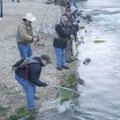 Opening day at Roaring River State Park draws crowds of trout anglers. The catch and keep fishing se...