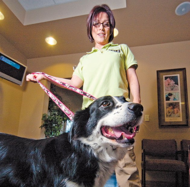 tj-knight-of-beebe-and-her-border-collie-bella-have-had-years-of-training-together-now-the-pair-visit-arkansas-childrens-hospital-and-the-university-of-arkansas-for-medical-sciences-medical-center-to-spend-time-with-patients