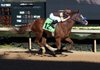 Jockey Calvin Borel rides Hezunusal to victory Thursday in the sixth race at Oaklawn Park in Hot Springs. It was Borel’s 5,000th career victory, putting him at No. 26 among all-time winningest jockeys. 