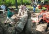 Workers from AmeriCorps National Civilian Community Corps spruced up the grounds and facilities of Ferncliff Camp during a 2011 visit. The camp and conference center, which is affiliated with the Presbyterian Church U.S.A., is raising money for additional facilities. 