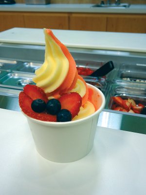 N2Yogurt is a family business that opened in June 2012 in Springdale.