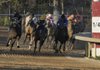 Will Take Charge and jockey Jon Court, second from left, make a move in the second turn between Oxbow and jockey Mike Smith, left, and Super Ninety Nine and jockey Rafael Bejaranno (10), in the $600,000 Rebel Stakes horse race at Oaklawn Park in Hot Springs, Ark., Saturday, March 16, 2013. Will Take Charge won the race. (AP Photo/David Quinn)