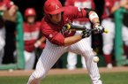 Arkansas outfielder Jacob Morris lays down a bunt against Ole Miss on Saturday, March 16, 2013, at Baum Stadium in Fayetteville. The Razorbacks beat the Rebels, 10-1.