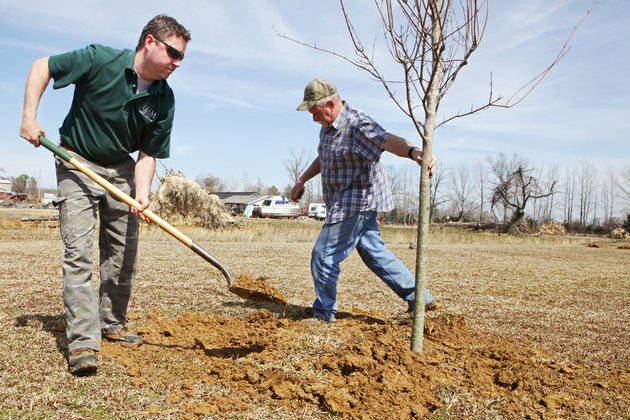 kyle-cunningham-left-and-merrelle-conner-finish-planting-a-red-maple-the-tree-was-planted-behind-vilonias-baseball-field-to-replace-trees-that-were-damaged-by-the-tornado-that-hit-the-city-in-2011