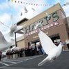 Harps Could Spur Growth North