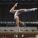 FOCUS sec gym085