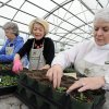 Greenhouse Saves City Money
