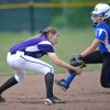 Lady Purple’Dogs Fall