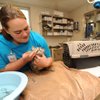 County Shelter Full, Needs More Money