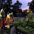 Workers from the Bentonville Street Department use chainsaws to cut down and clear a tree which brok...
