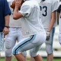 Kyle Pianalto, Springdale Har-Ber quarterback, drops back to pass Thursday during the Wildcats’ spri...