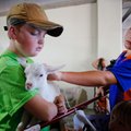 Owen Nielsen, 12, of Fayetteville, reaches in to pet a kid held by Eli Elderton, 9, Tuesday morning ...