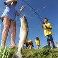 Carrina Ibarra, 10, right, laughs Wednesday while reeling in a catfish with the help of volunteer Ma...