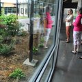Sue Amatangelo, right, and Diana Weiner, center, America in Bloom judges, and Sharon Pepple, Happy H...