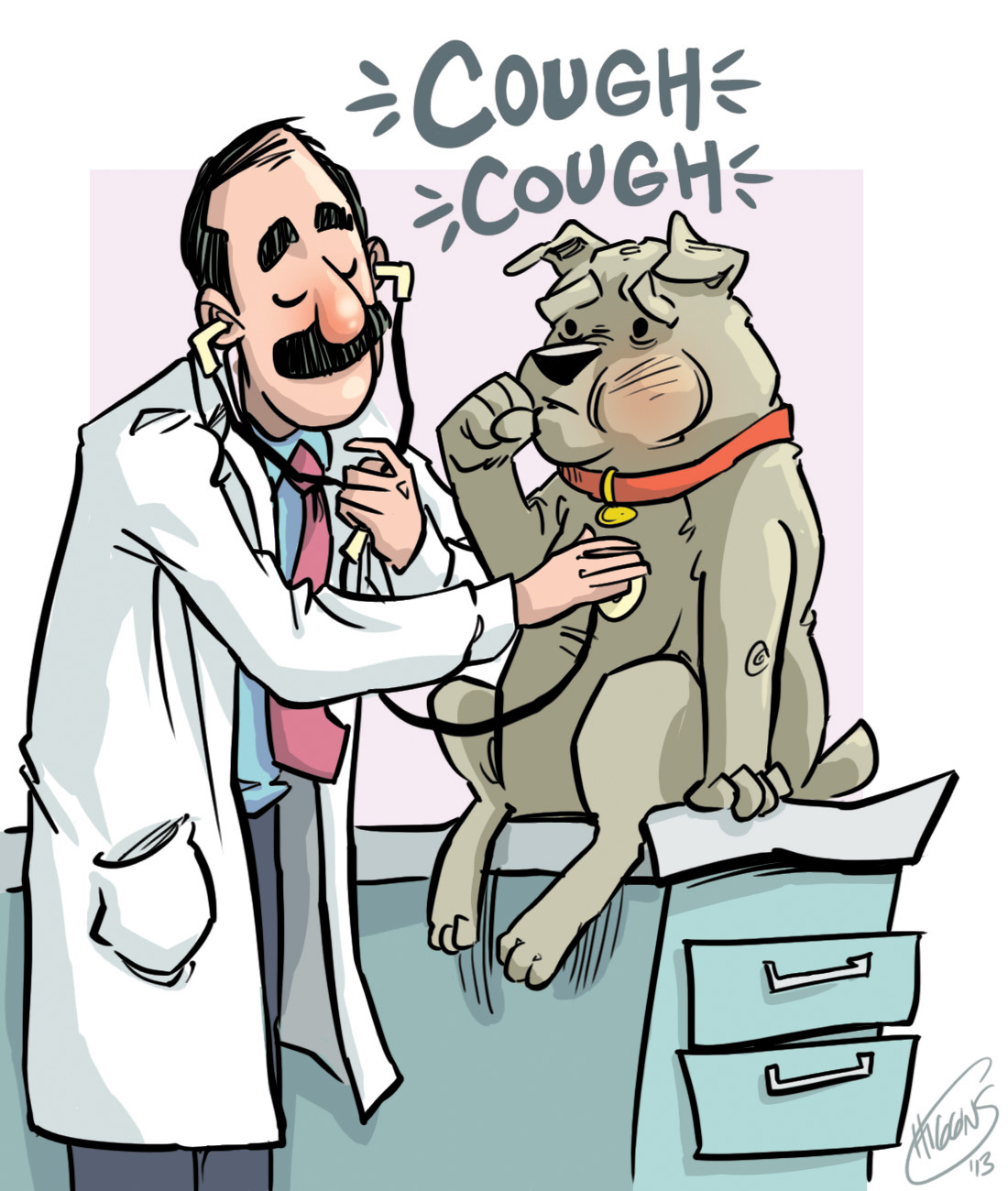 kennel-cough-town-and-country-animal-hospital-town-and-country