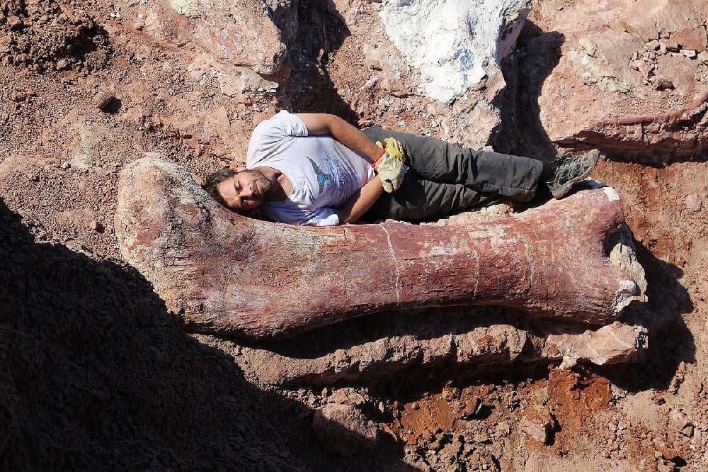 Paleontologist Diego Pol Stretches Out Beside The Femur Of The