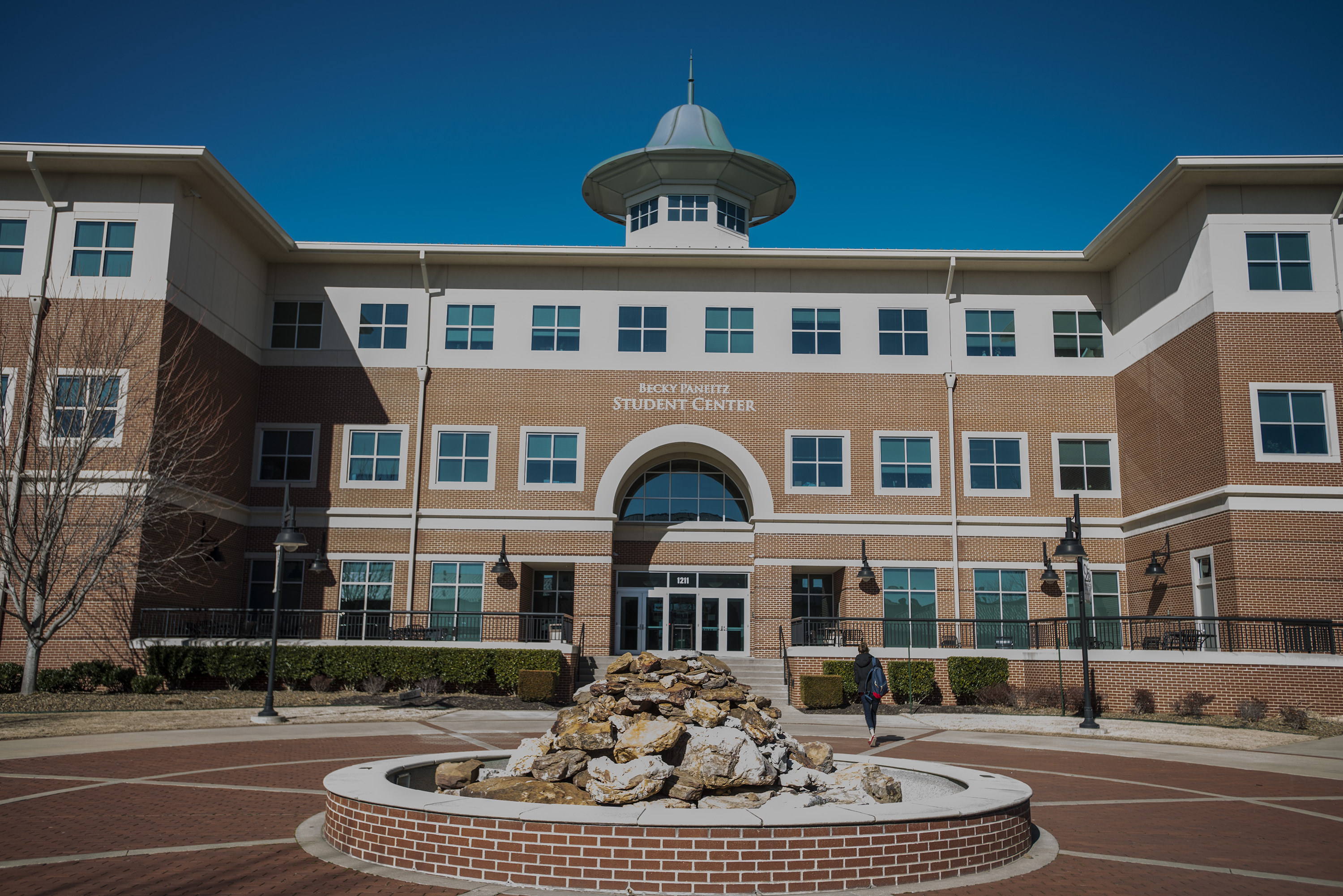 Northwest Arkansas Community College Reconsidering Vision NWADG