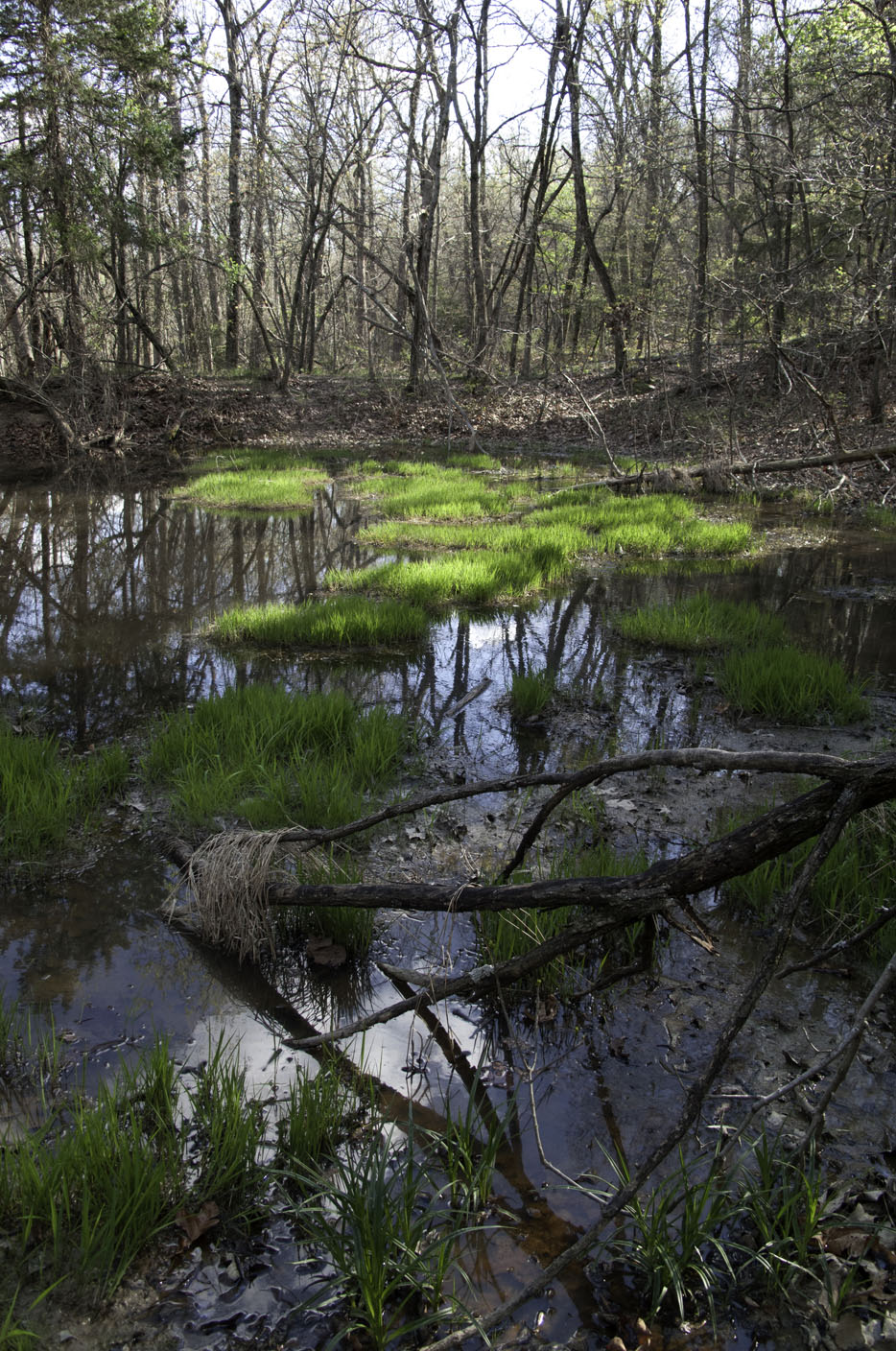 kessler mountain bike trails