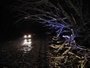 Severe weather hits central Arkansas, causing damage in Saline County