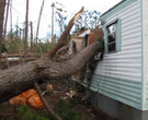 Fordyce cleaning up after tornado