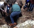 Arkansas Game & Fish Commission conduct Bear Den survey