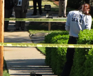 Break-in suspect shot by police