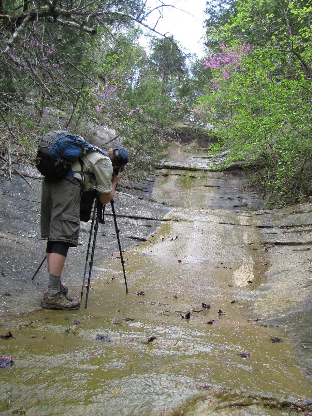 North Sylamore Creek Hiking Trail