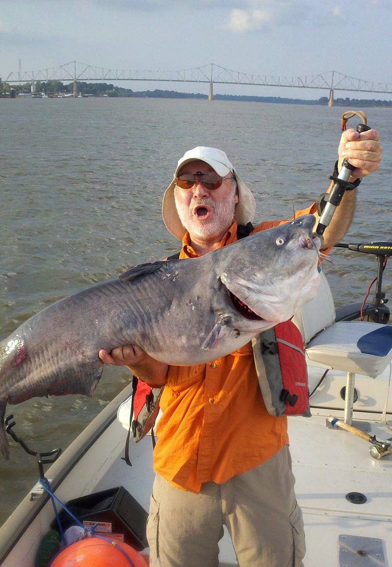 elzabdesigndev: 375 Pound Catfish Caught In Arkansas River