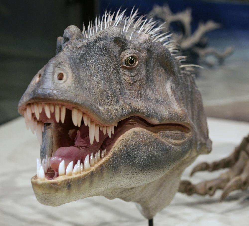 New T. rex relative unveiled in Utah