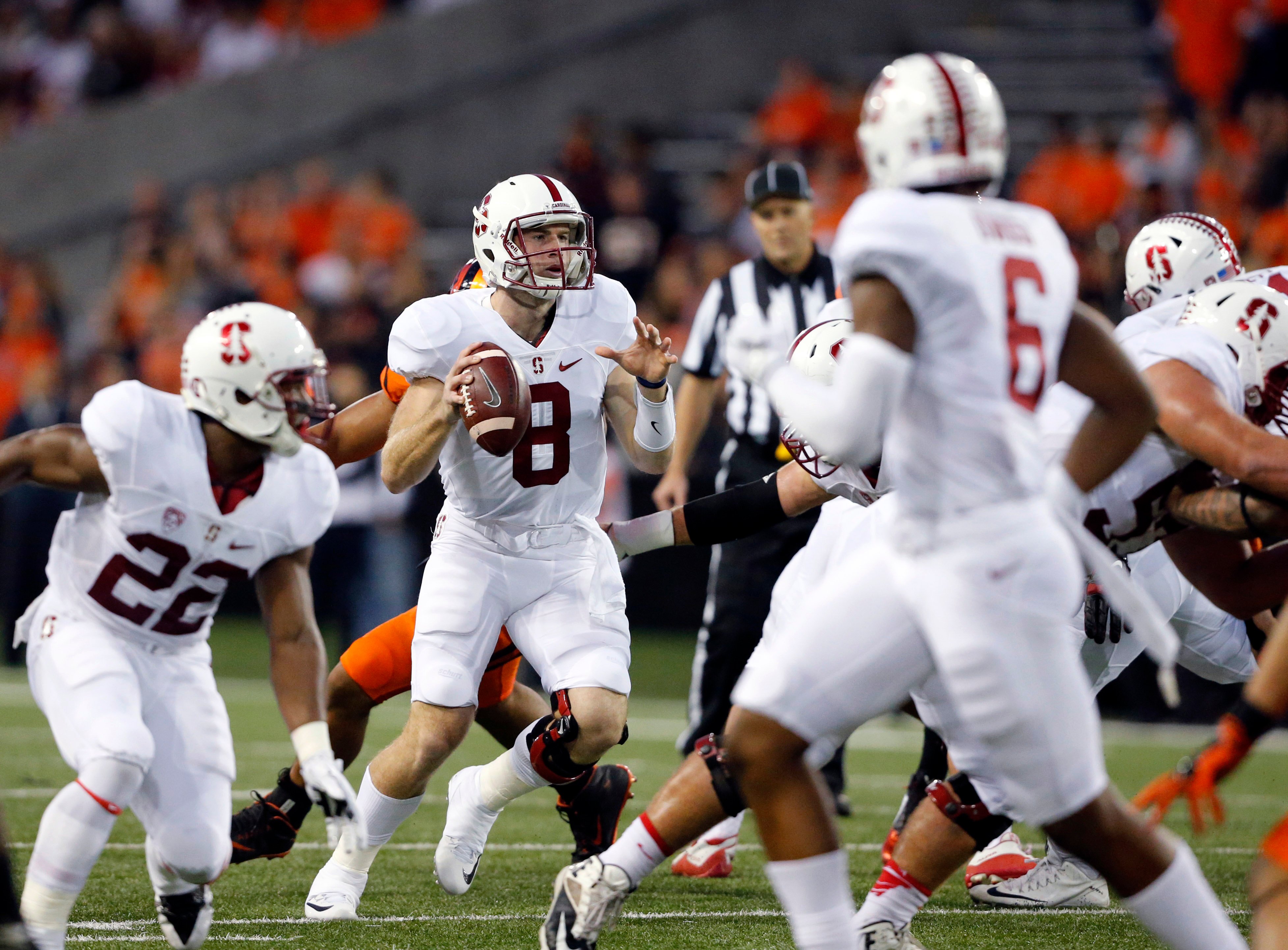 Stanford quarterback Kevin Hogan (8) during the first quarter of an NCAA  college football against Northwestern in Evanston, Ill, Saturday, Sept. 5,  2015. (AP Photo/Matt Marton Stock Photo - Alamy