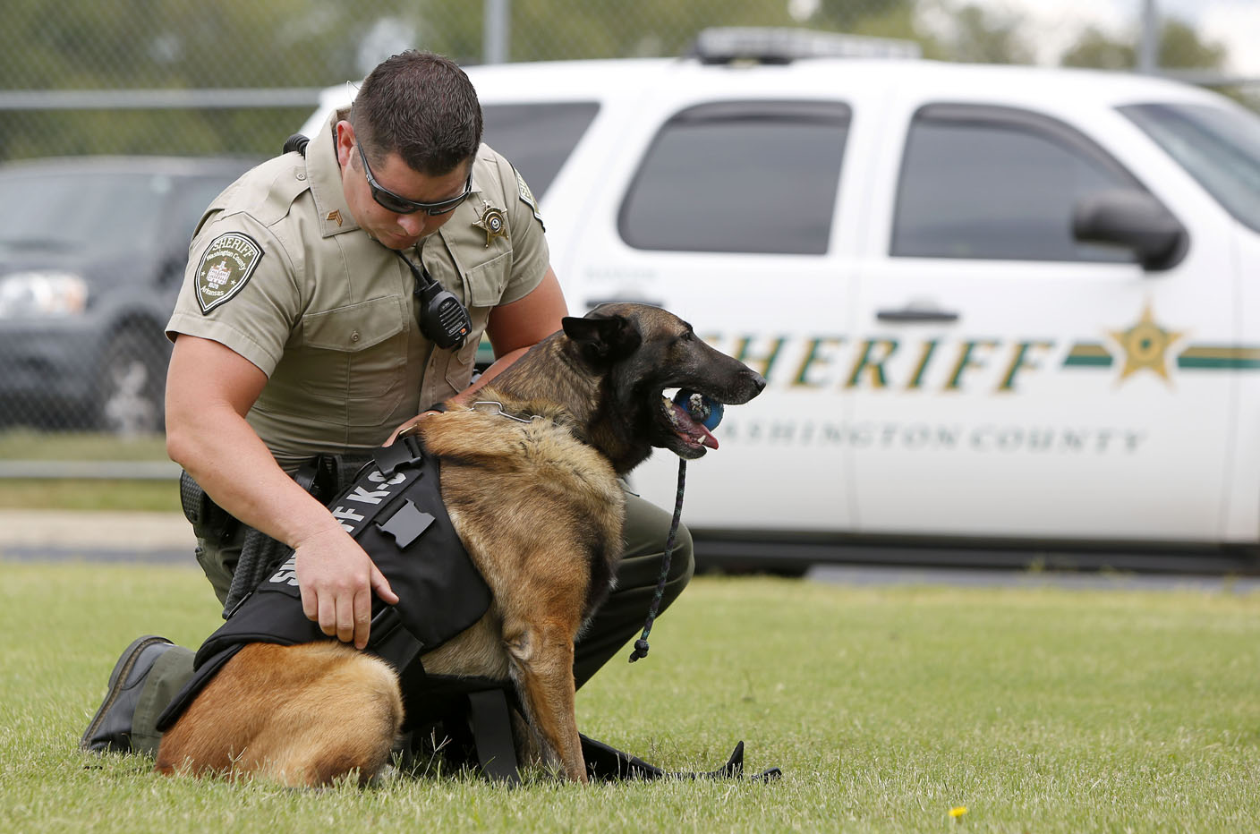 Northwest Arkansas law enforcement agencies outfit police dog, other ...