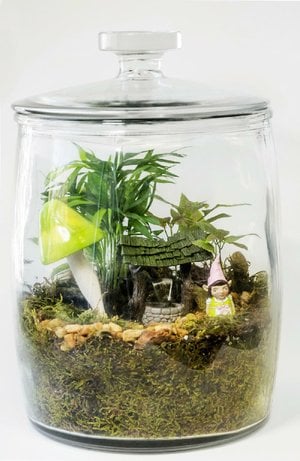 Contained delights: Create an indoor haven of green with easily ...