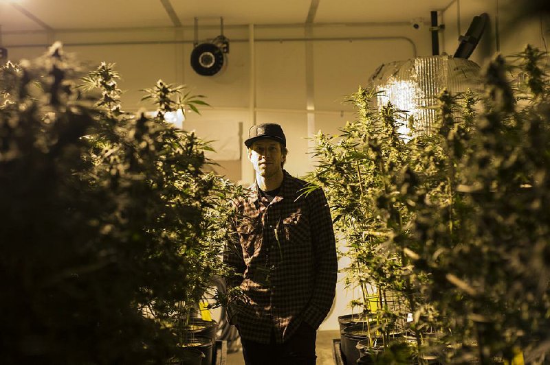 Pot Growers Push To Cut Costs