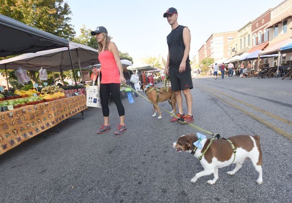 Dogs becoming more welcome at Northwest Arkansas ...