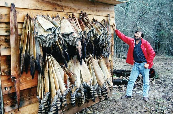 Trapping can be a fulfilling pastime despite low fur prices