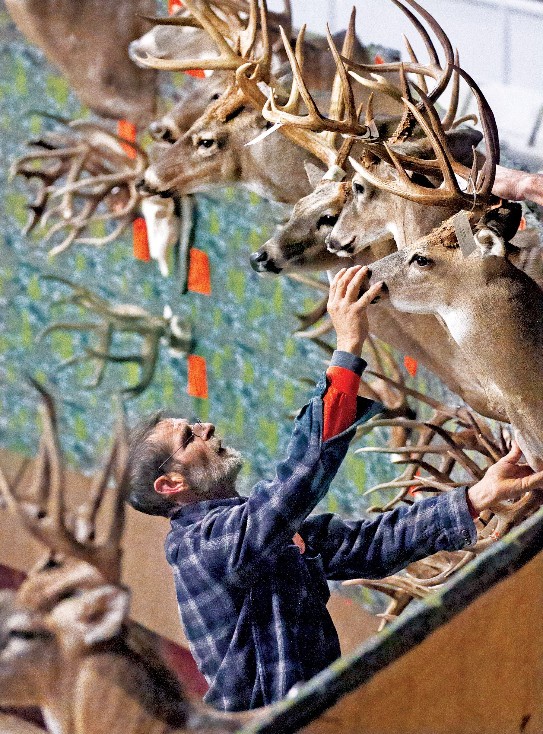 Special Event Big Buck Classic Show and tell for hunters, others NWADG