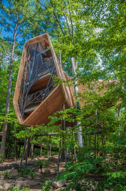 Celebrate Summer And The Opening Of The New Tree House At Garvan