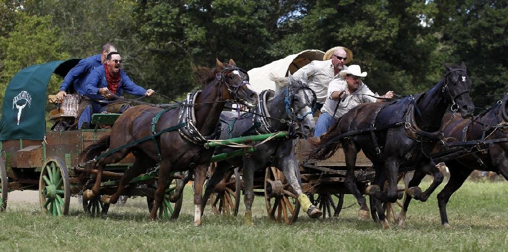 Chuckwagon Racing in Clinton