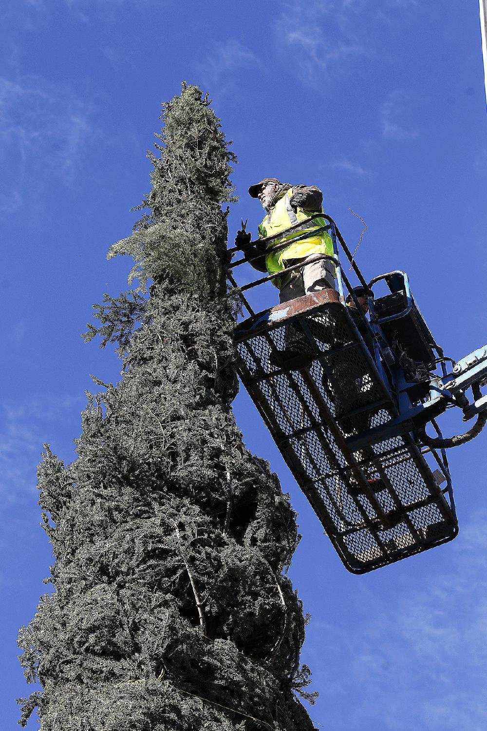 65-foot Christmas tree arrives in Little Rock for second annual