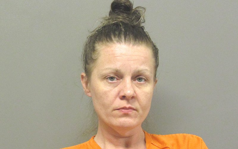 Woman Allegedly Steals Purse Arrested On Multiple Theft Forgery Charges