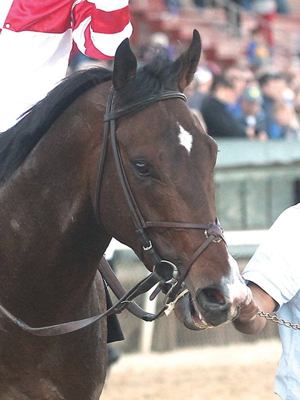 Arkansas Derby Timing Different But Magnitude Of Arkansas