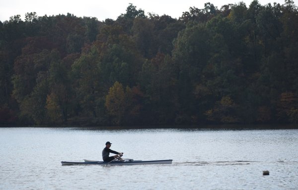 Toxic algae found in Fayetteville lake; avoid contact with water, agency says - Northwest Arkansas Democrat-Gazette