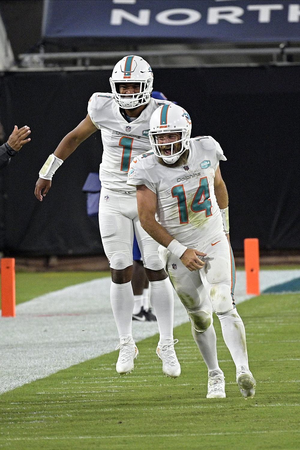 Quarterback Ryan Fitzpatrick celebrates a touchdown during the