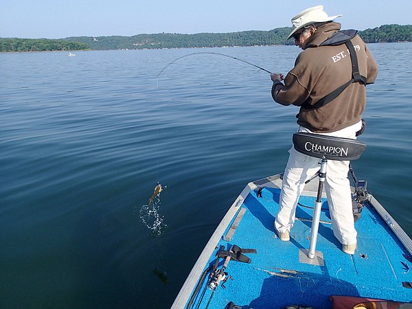 Bass do bite plastic worms, and purple might just be their favorite - Vimarsana News