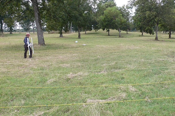 Study says ancient skulls in at Miller County site belong to Caddo ancestors - Vimarsana News